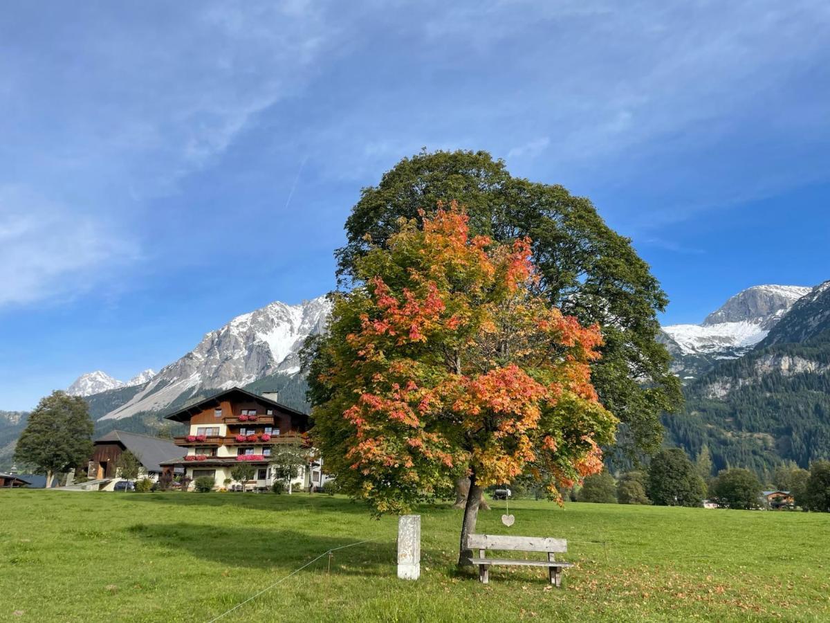 Pension Moslehnerhof ラムサウ・アム・ダッハシュタイン エクステリア 写真