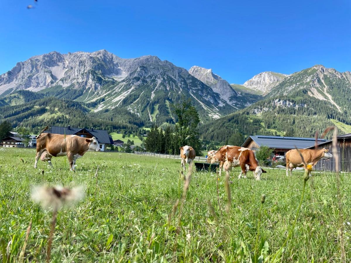 Pension Moslehnerhof ラムサウ・アム・ダッハシュタイン エクステリア 写真